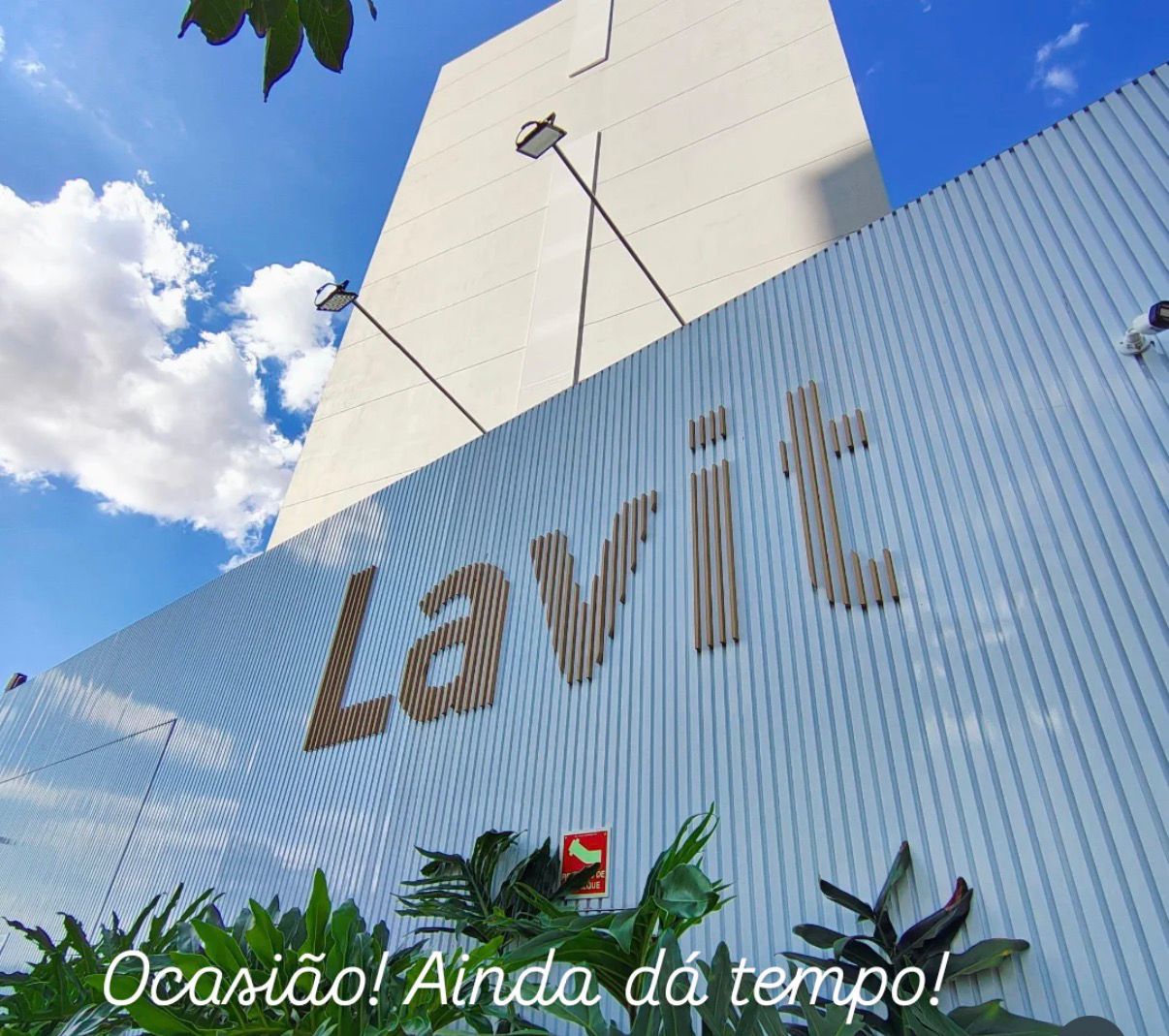 WhatsApp Image 2025-12-18 at 15.45.21